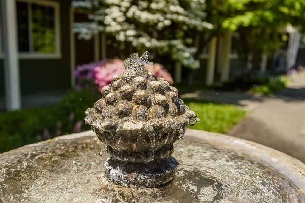 The Jack London Lodge เกลนเอลเลน ภายนอก รูปภาพ