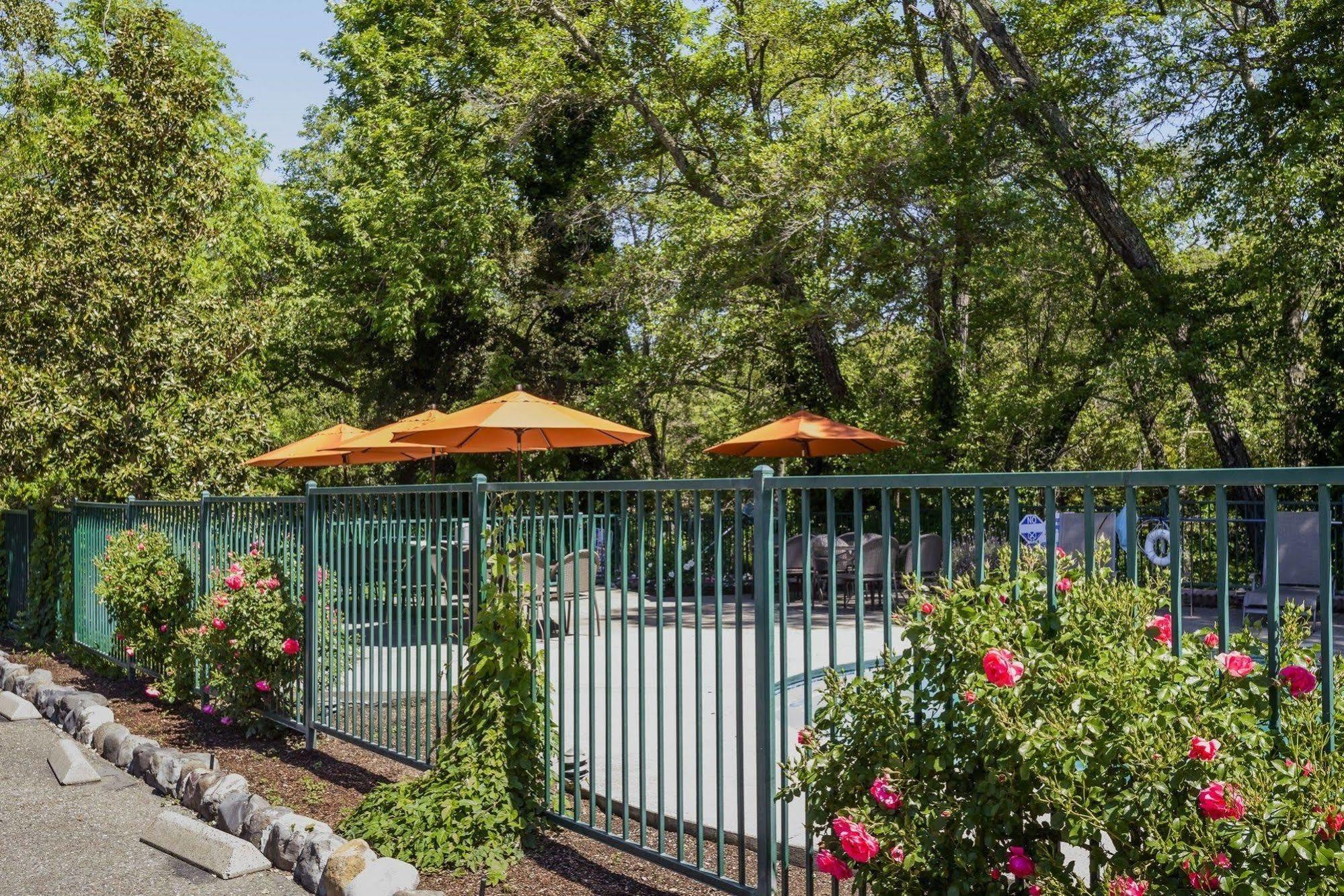 The Jack London Lodge เกลนเอลเลน ภายนอก รูปภาพ